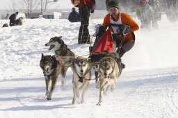 Lenk 2012 SM